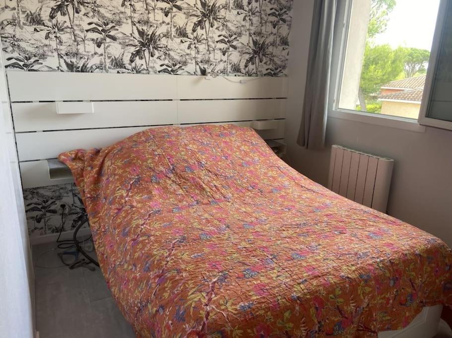 Villa L'Occitane Calvisson Dış mekan fotoğraf